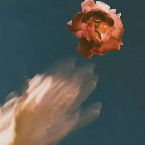 综合亚洲一二区在线观看
