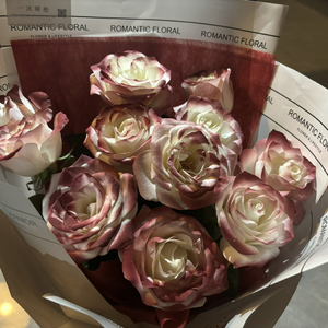 综合亚洲一二区在线观看
