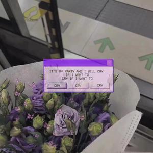 综合亚洲一二区在线观看
